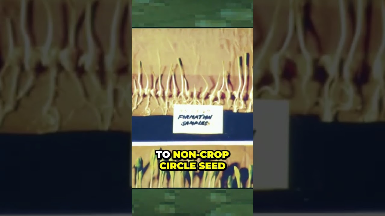 The Science Behind Crop Circles Reveals Mind Blowing Discoveries