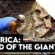 After Files: Giants in America - Deep Dives, News, Q&A, Free stuff