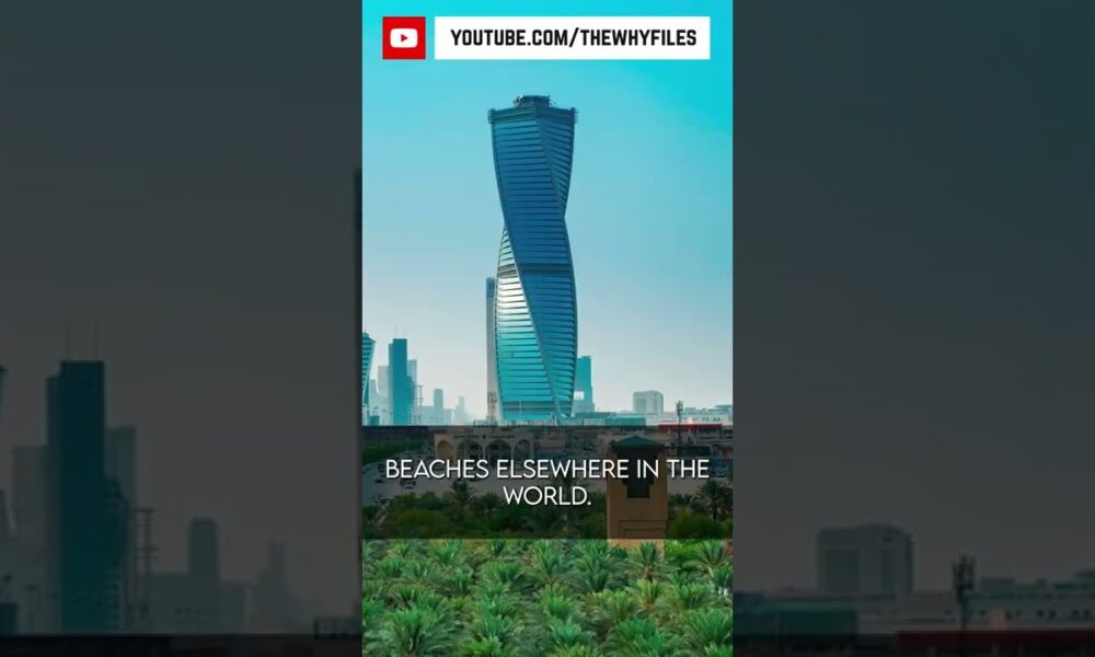 True or False? Did you know all of these? #11 #thewhyfiles #shorts