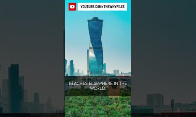 True or False? Did you know all of these? #11 #thewhyfiles #shorts