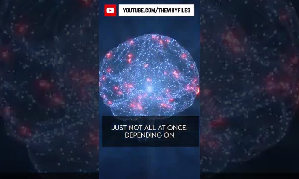 True or False? Did you know all of these? #01 #thewhyfiles #shorts