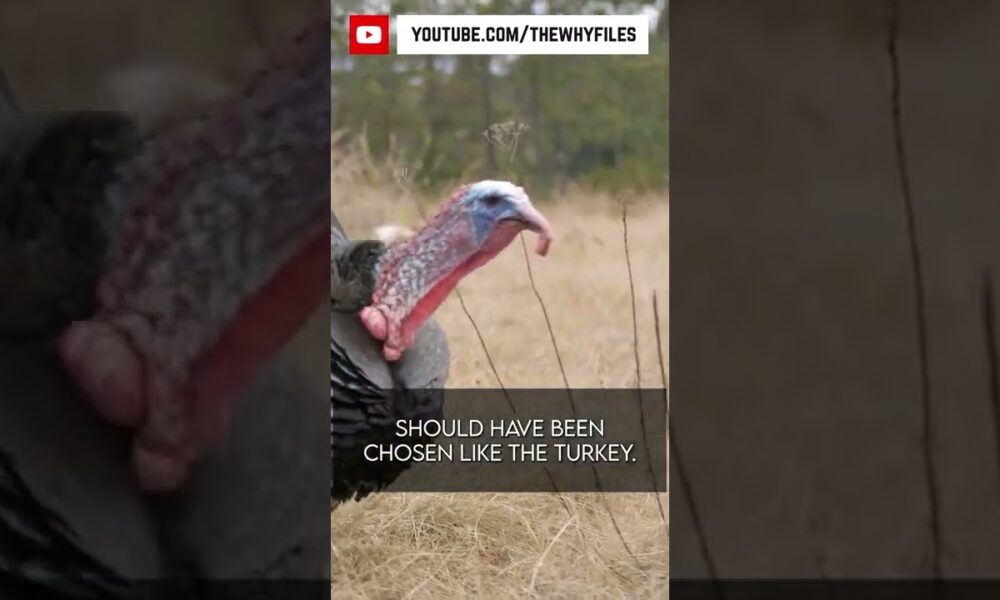 True or False? Did you know all of these? #04 #thewhyfiles #shorts