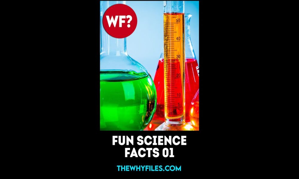 Fun Science Facts 01 - The Why Files #shorts