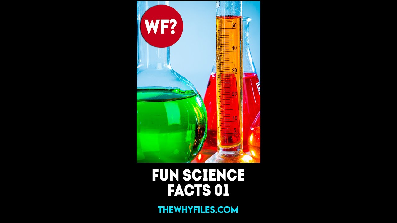Fun Science Facts 01 - The Why Files #shorts