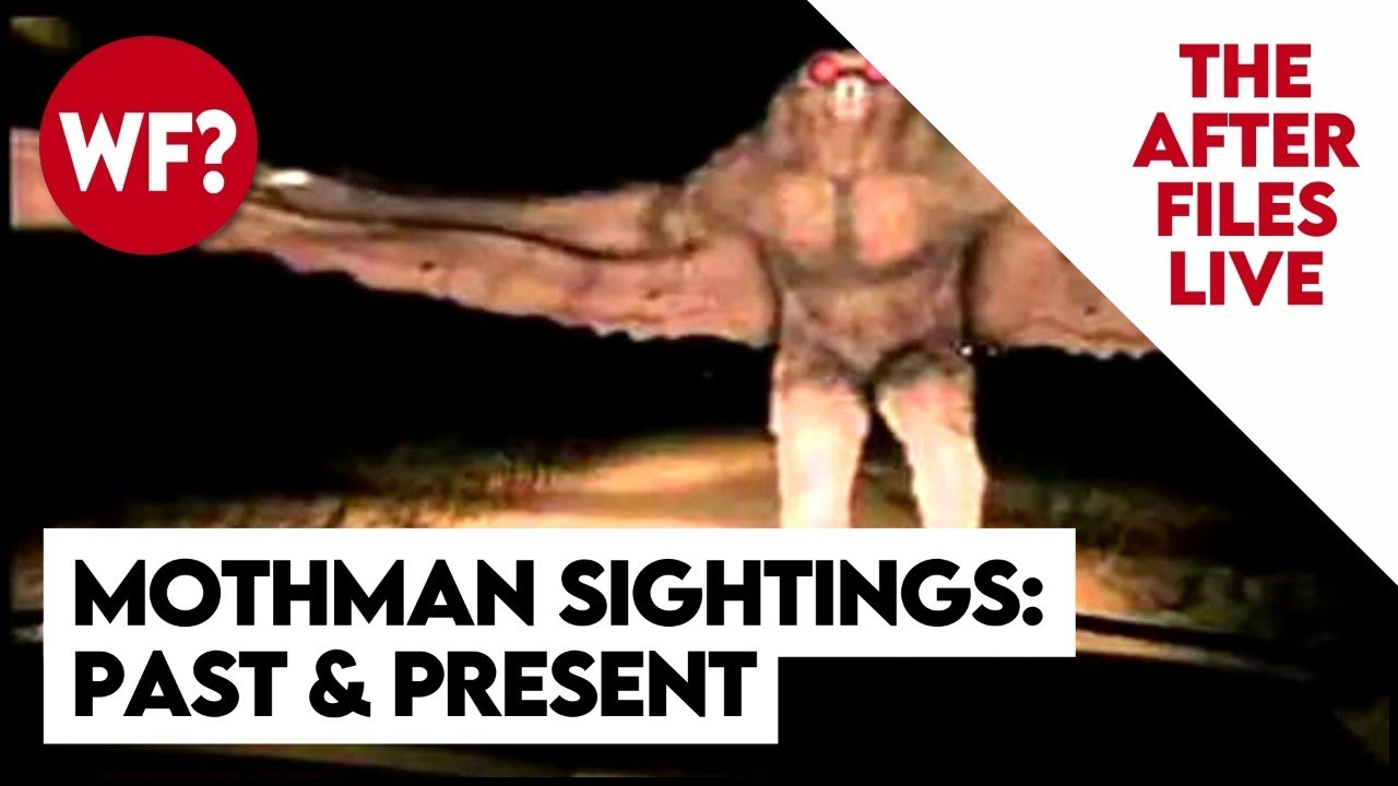 Mothman AFTER FILES! Q&A, AMA, Hangout