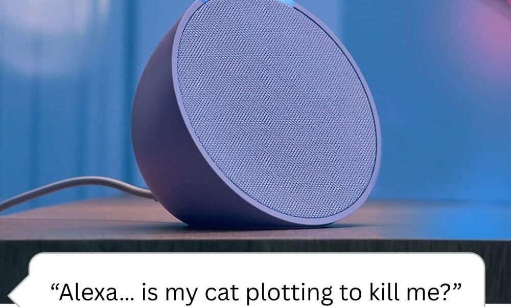 Revealed: The most common questions people ask Alexa (Some are a bit weird)