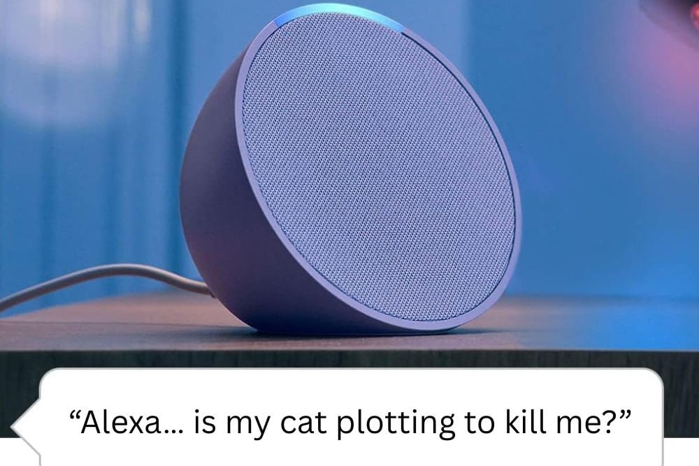 Revealed: The most common questions people ask Alexa (Some are a bit weird)