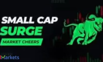 Fermenta Biotech, Stallion India among 10 smallcaps jumped up to 27% in just 5 days. Did you own?