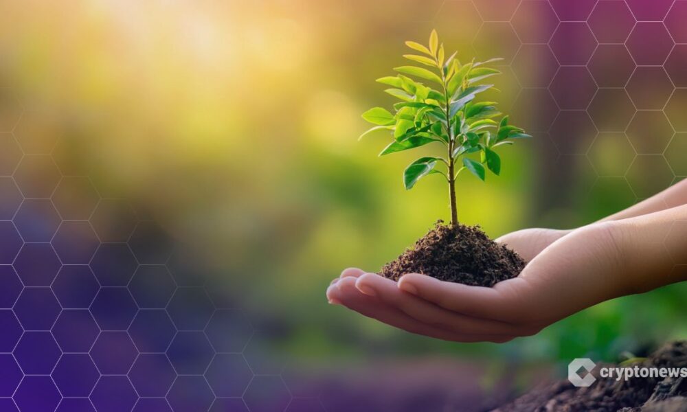 Curve Founder Proposes $6.6M CRV Grant for Ecosystem Development