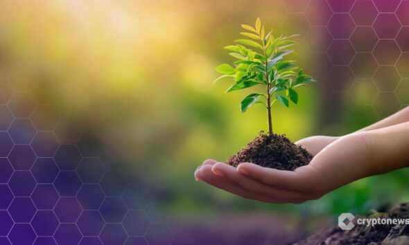 Curve Founder Proposes $6.6M CRV Grant for Ecosystem Development