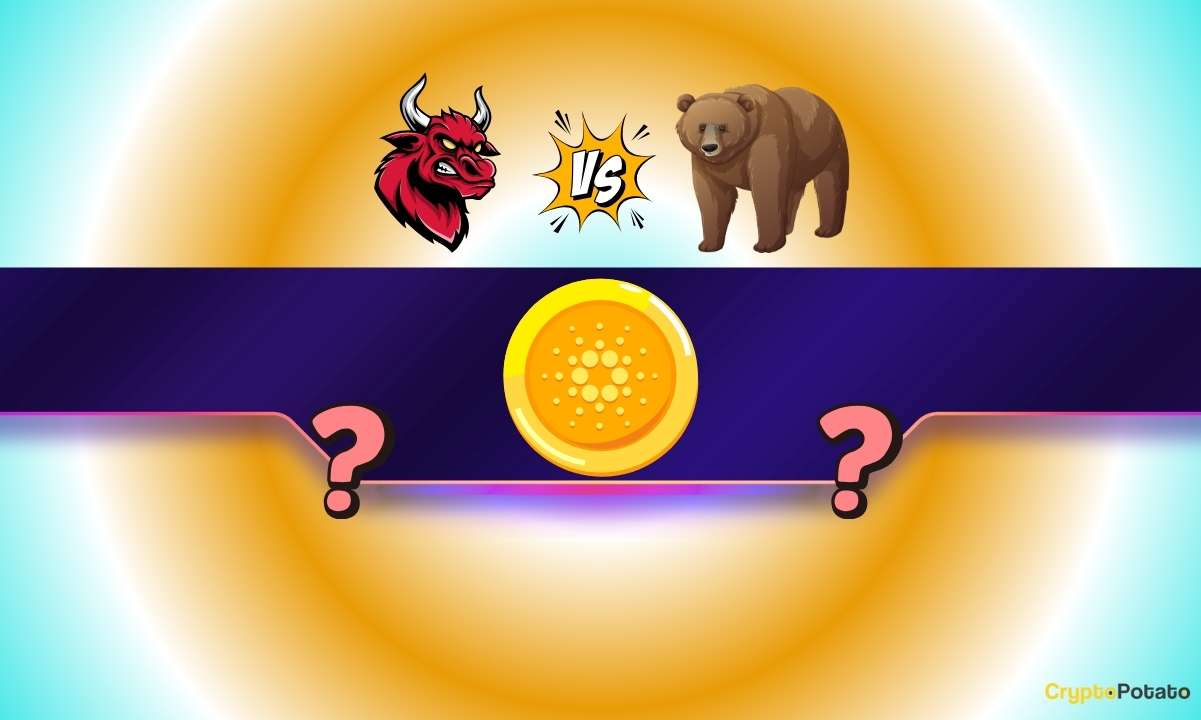 20% Drop or 50% Rally Ahead?