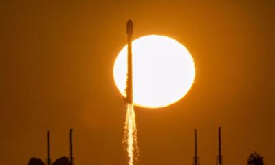 Forget Valuation. This Is the Big Question Ahead of a SpaceX IPO.