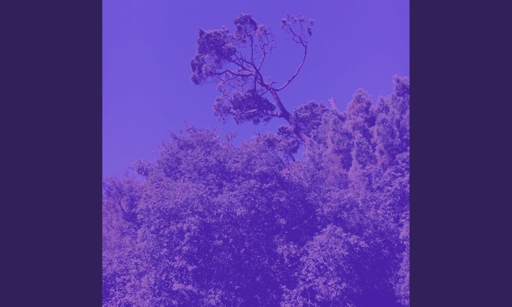 Music for Meditation