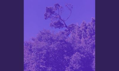 Music for Meditation