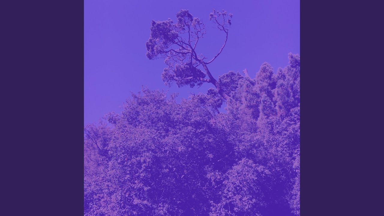 Music for Meditation