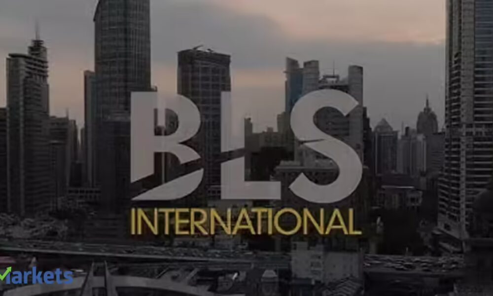 BLS International shares rally 7% after Delhi High Court overturns MEA tender ban