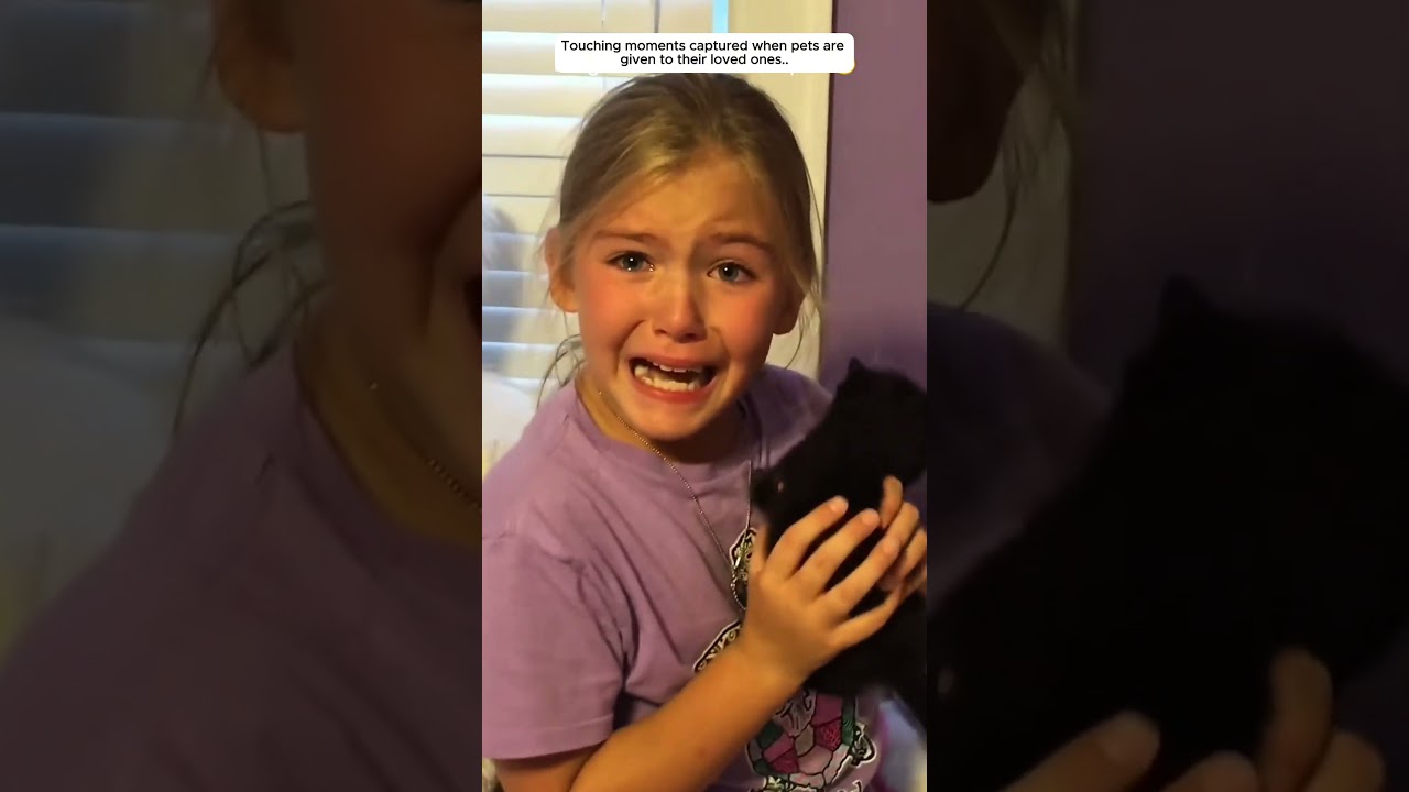 emotional moment when receiving a pet..#pet #animals #shorts
