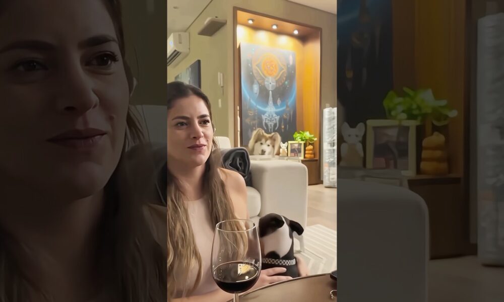 The animals🤣😂 #funnyanimals #animalsfunny #pets #shorts