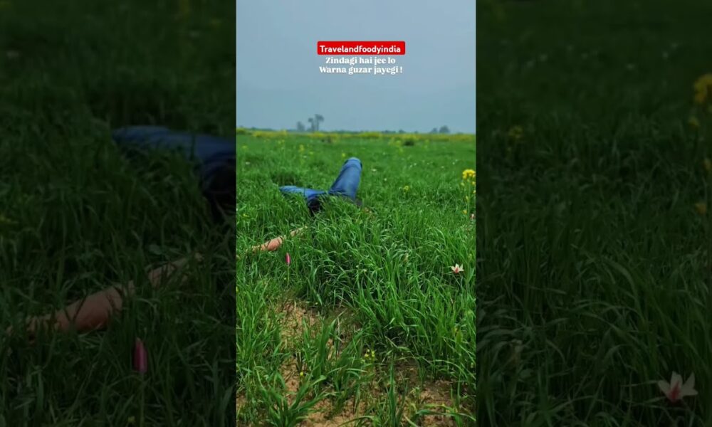 Must Travel #adventure #travel #travelblogger #traveltheworld #travelvlog #travelvibes #traveltips