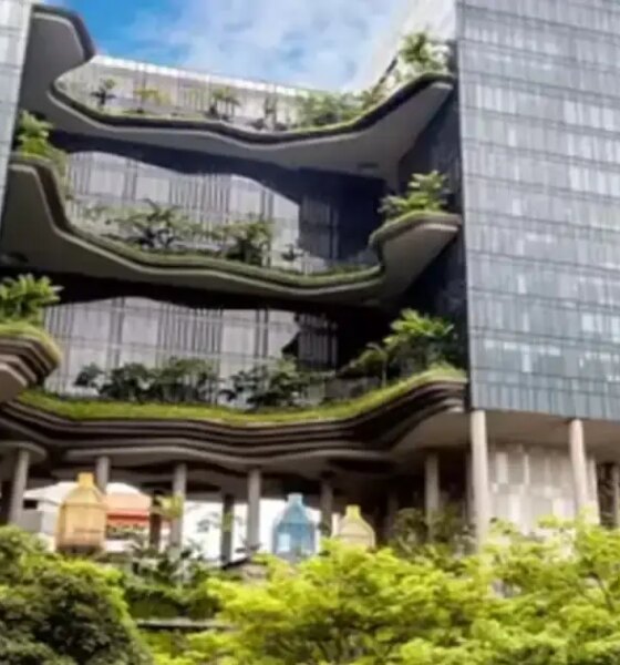 Incorporate green areas in projects, provide skill training to labourers: Shah to realty developers