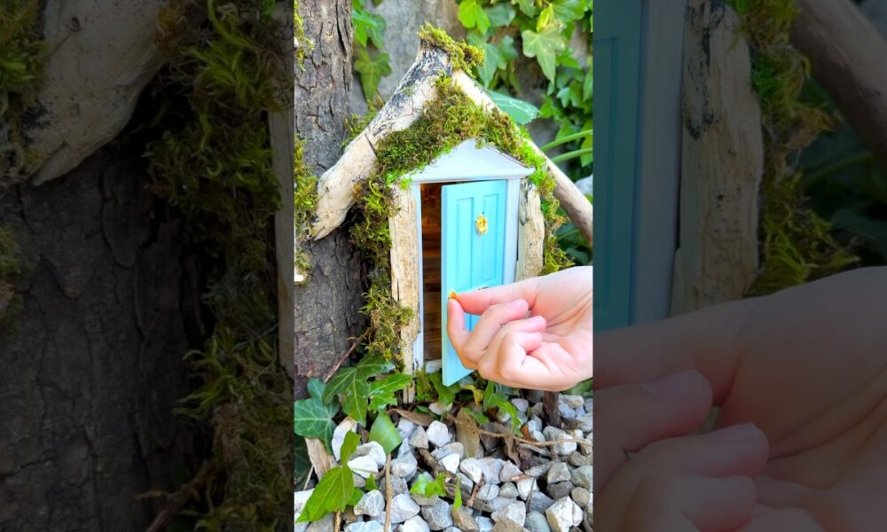 Rescued The Cutest Pet in the World 😨#cute #animal #pet