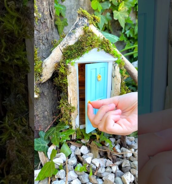 Rescued The Cutest Pet in the World 😨#cute #animal #pet