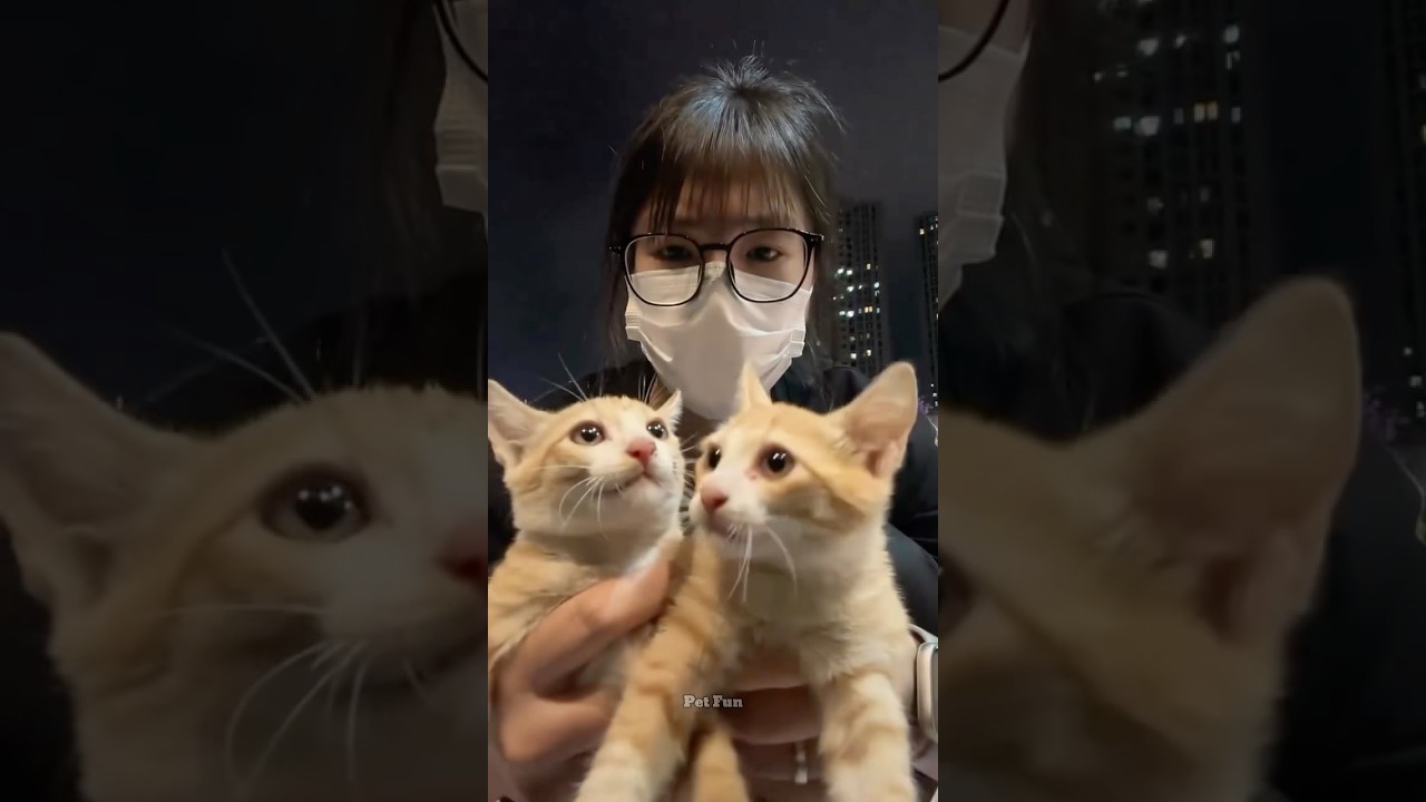 The animals 🤣😂 #funnyanimals #animalsfunny #pets #shorts