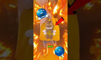 Top 3 Must Have Gadgets For Every Pet's Lover's😱🥳 #gadgets #shorts #petsgadgets #PetsLovers #Viral