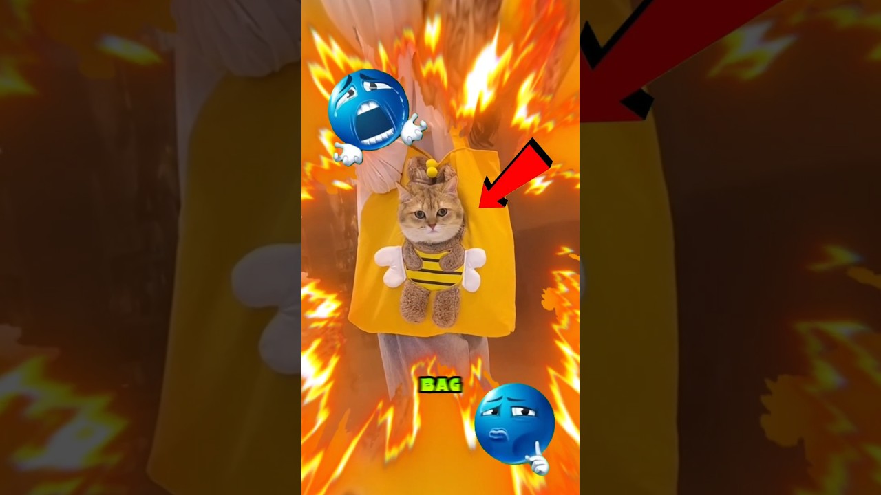 Top 3 Must Have Gadgets For Every Pet's Lover's😱🥳 #gadgets #shorts #petsgadgets #PetsLovers #Viral