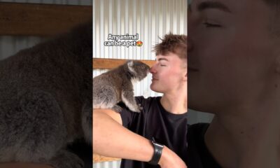 Any animal can be a pet🥰#pet#animal#love #foryou