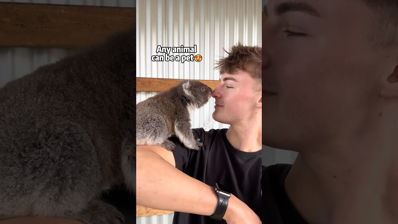 Any animal can be a pet🥰#pet#animal#love #foryou