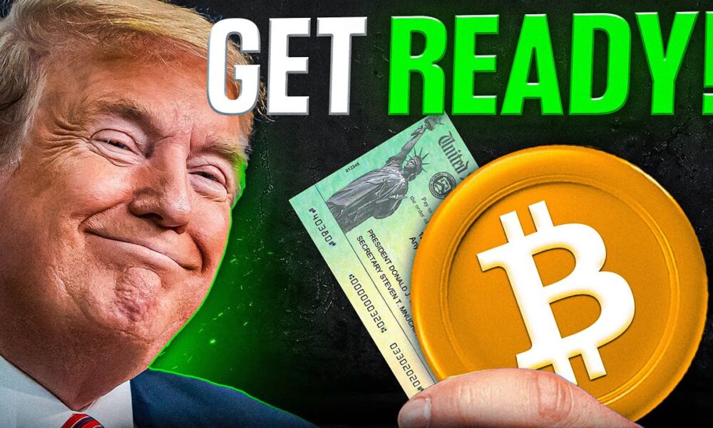 $250,000 BITCOIN: Trump Stimulus Is Key! (Expert Prediction!)