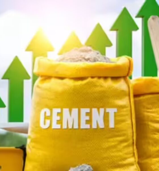 Ambuja Cements, Orient Cement shares zoom up to 10% following board approval for merger with Orient Cement