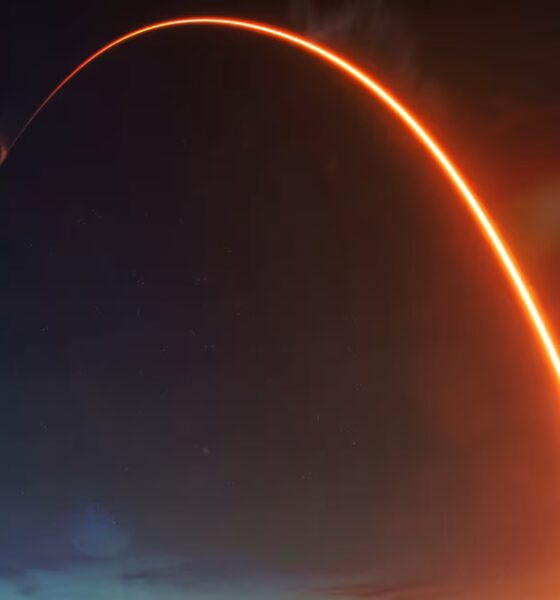 This Recent IPO Drops 59% After Big Rise. What’s Behind the Wild Swings.