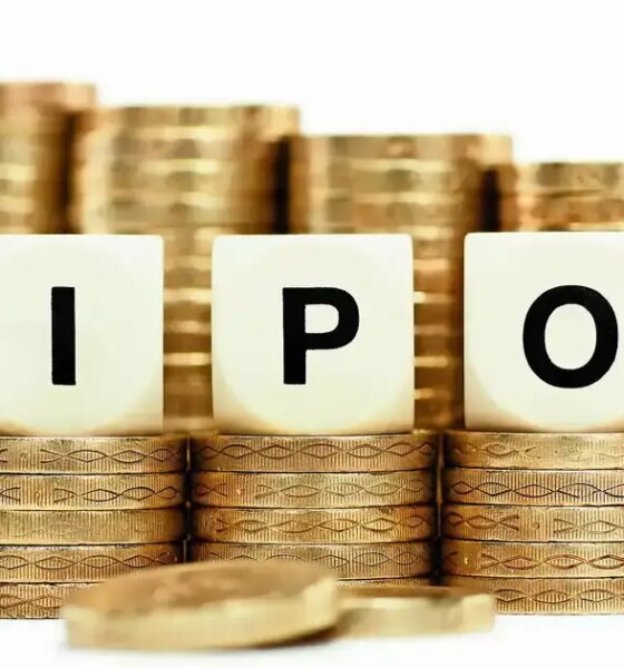 IPO rush in 2025 focused more on shareholder cash-outs than powering growth