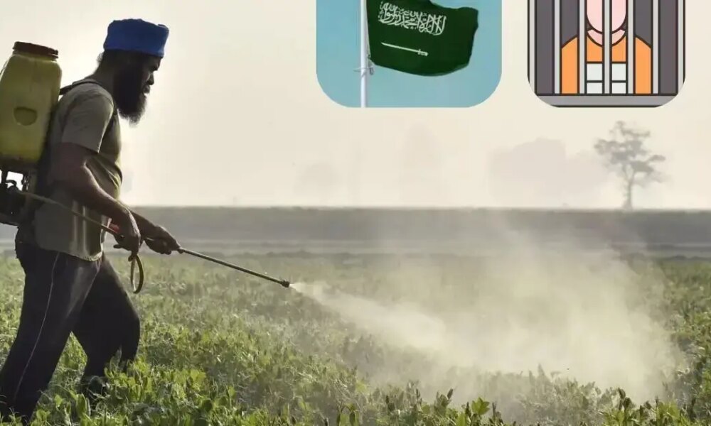 Saudi Arabia's draft pesticide regulation proposes heavy fines, jail for making or importing fake products. Check the draft rules
