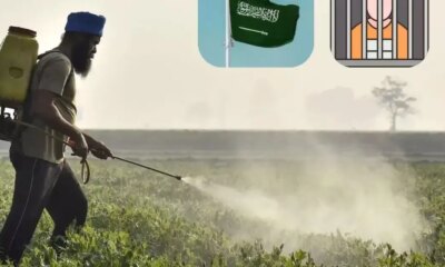 Saudi Arabia's draft pesticide regulation proposes heavy fines, jail for making or importing fake products. Check the draft rules