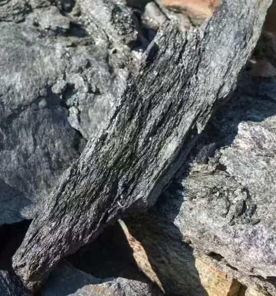 Amid a battery boom, graphite mining gets a fresh look in the US