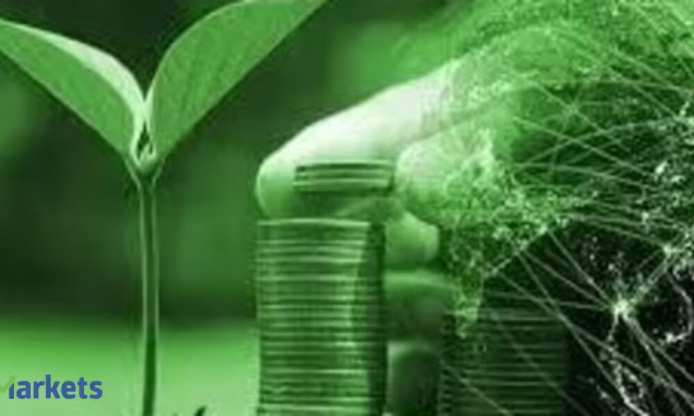 Green debt sales hit record levels despite climate backlash