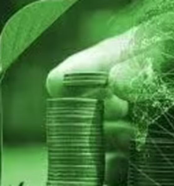 Green debt sales hit record levels despite climate backlash