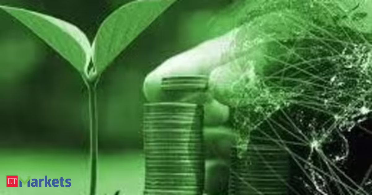 Green debt sales hit record levels despite climate backlash