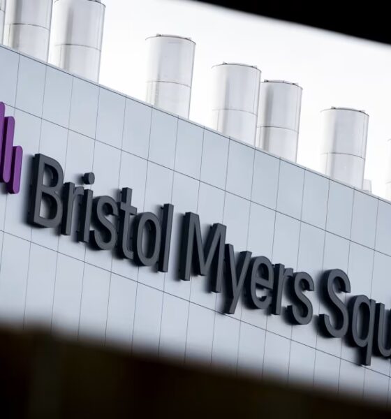 This Beaten-Down Pharma Stock Could Make a Turnaround in the New Year