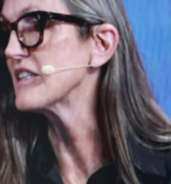 Cathie Wood’s ARK Funds Have Crushed the Market This Year. What’s She’s Buying Now.