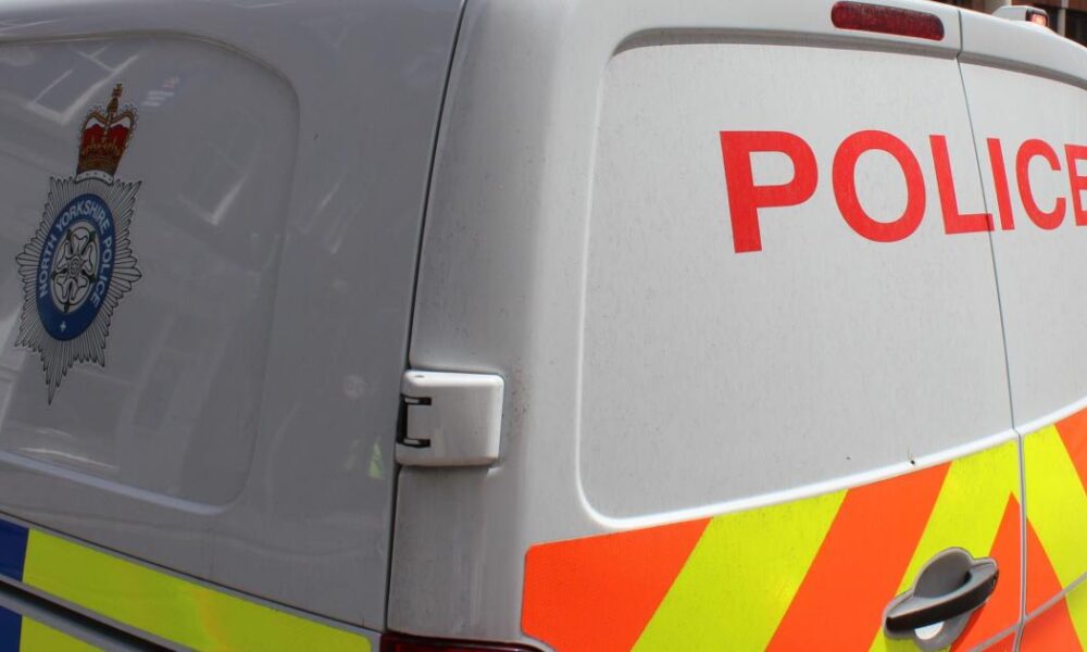 Jewellery taken in theft from house in Scarborough