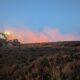 MP seeks more support for farmers hit by Langdale Moor fires