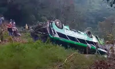 Eight dead and 19 injured in Christmas horror bus crash