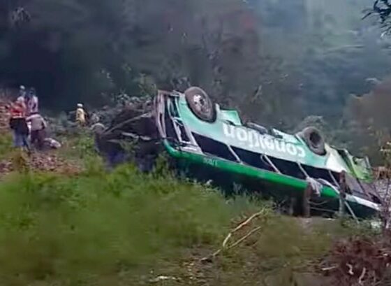 Eight dead and 19 injured in Christmas horror bus crash