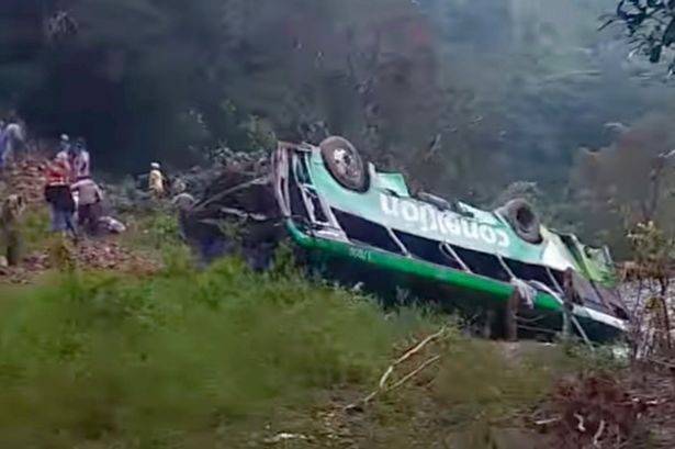 Eight dead and 19 injured in Christmas horror bus crash