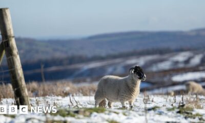 Cold weather to ring in New Year as amber health alerts issued