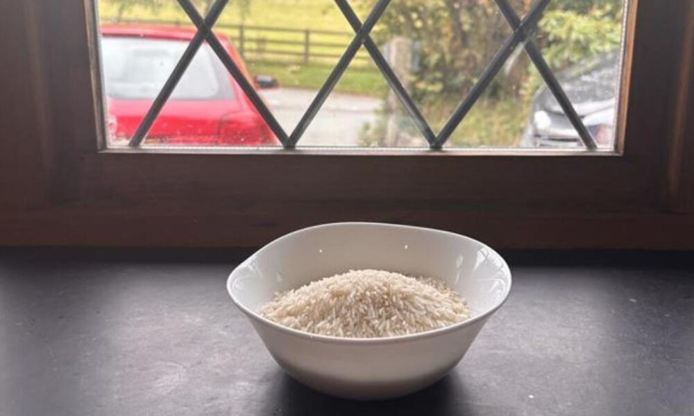 Brits urged to put rice on windowsill this Christmas season